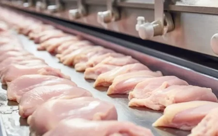 Market raflarında tehlike: Ünlü tavuk markasının köftesinde ölümcül bakteri tespit edildi