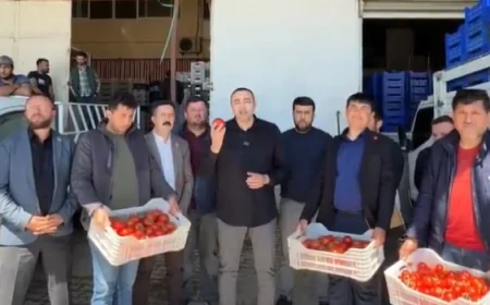 CHP'li Aykut Kaya: 'Domates üreticisi maliyetin altında satıyor, pazarda 50 liraya alıcı buluyor! Tarım Bakanlığı nerede?'