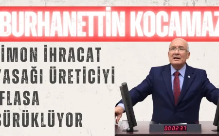 Burhanettin Kocamaz: 'Limon ihracat yasağı üreticiyi iflasa sürüklüyor'