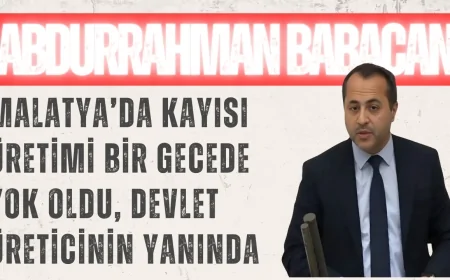 Abdurrahman Babacan: 'Malatya’da kayısı üretimi bir gecede yok oldu, devlet üreticinin yanında'