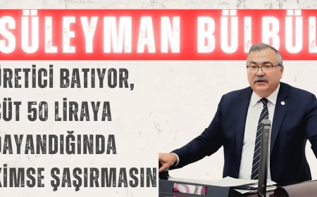 Süleyman Bülbül: 'Üretici batıyor, süt 50 liraya dayandığında kimse şaşırmasın'