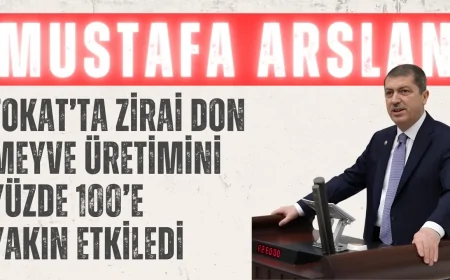 Mustafa Arslan: 'Tokat’ta zirai don meyve üretimini yüzde 100’e yakın etkiledi'