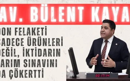 Bülent Kaya: ‘Don felaketi sadece ürünleri değil, iktidarın tarım sınavını da çökertti’