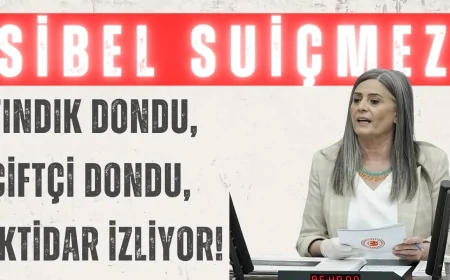 Sibel Suiçmez: ‘Fındık dondu, çiftçi dondu, iktidar izliyor!’