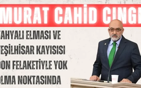 Murat Cahit Cıngı: 'Yahyalı elması ve Yeşilhisar kayısısı don felaketiyle yok olma noktasında'