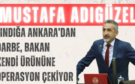 Mustafa Adıgüzel: 'Fındığa Ankara’dan darbe, Bakan kendi ürününe operasyon çekiyor'