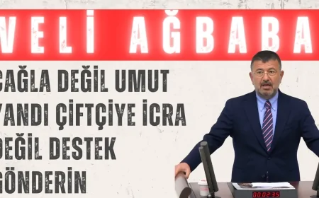 Veli Ağbaba: “Çağla değil, umut yandı; çiftçiye icra değil, destek gönderin”
