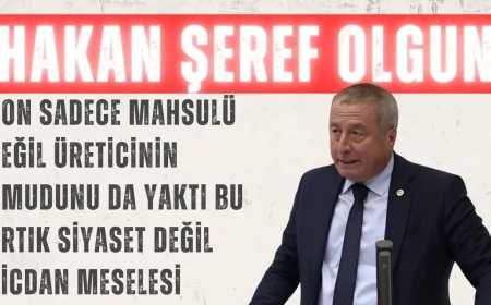 Hakan Şeref Olgun: “Don sadece mahsulü değil, üreticinin umudunu da yaktı; bu artık siyaset değil vicdan meselesi”
