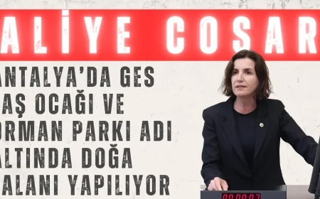 Aliye Coşar: “Antalya’da GES, taş ocağı ve orman parkı adı altında doğa talanı yapılıyor”