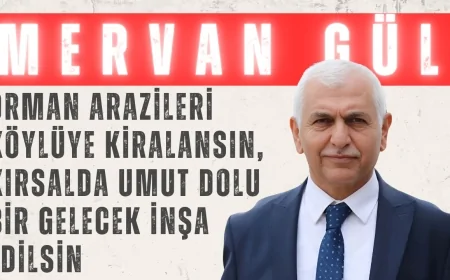 Mervan Gül: “Orman arazileri köylüye kiralansın, kırsalda umut dolu bir gelecek inşa edilsin”