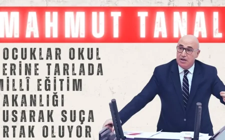 Mahmut Tanal: “Çocuklar okul yerine tarlada, Millî Eğitim Bakanlığı susarak suça ortak oluyor”