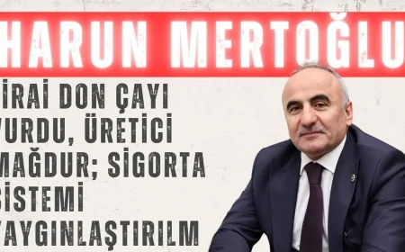 Harun Mertoğlu: ‘Zirai don çayı vurdu, üretici mağdur; sigorta sistemi yaygınlaştırılmalı’