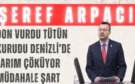 Şeref Arpacı: “Don vurdu, tütün kurudu; Denizli’de tarım çöküyor, müdahale şart”