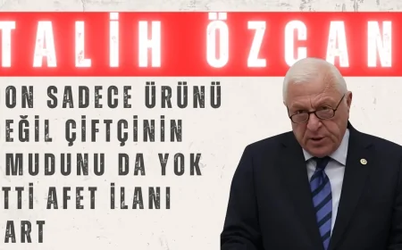 Talih Özcan: ‘Don sadece ürünü değil, çiftçinin umudunu da yok etti; afet ilanı şart’