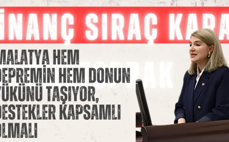 İnanç Sıraç Kara Ölmeztoprak: ‘Malatya hem depremin hem donun yükünü taşıyor, destekler kapsamlı olmalı’