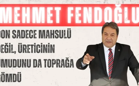 Mehmet Fendoğlu: “Don sadece mahsulü değil, üreticinin umudunu da toprağa gömdü”