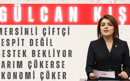 Gülcan Kış: ‘Mersinli çiftçi tespit değil, destek bekliyor; tarım çökerse ekonomi çöker’