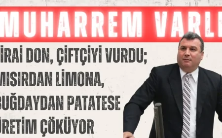 Muharrem Varlı: “Zirai don, çiftçiyi vurdu; mısırdan limona, buğdaydan patatese üretim çöküyor”