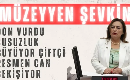 Müzeyyen Şevkin: 'Don vurdu, susuzluk büyüyor, çiftçi resmen can çekişiyor'