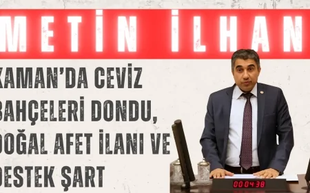 Metin İlhan: 'Kaman’da ceviz bahçeleri dondu, doğal afet ilanı ve destek şart'