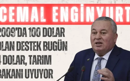 Cemal Enginyurt: '2009’da 100 dolar olan destek bugün 4 dolar, Tarım Bakanı uyuyor'
