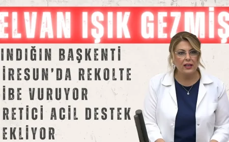 Elvan Işık Gezmiş: 'Fındığın başkenti Giresun’da rekolte dibe vuruyor, üretici acil destek bekliyor'