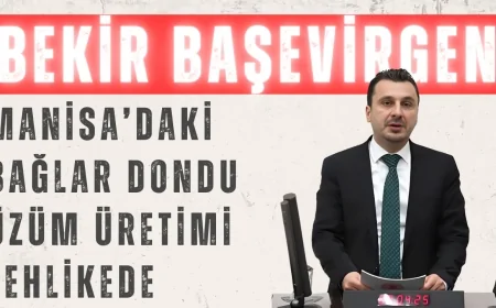 Bekir Başevirgen: 'Manisa’daki bağlar dondu, üzüm üretimi tehlikede'