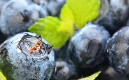 Beslenme uzmanı Amati'den 'günde 5 besin' uyarısı: Mikrobiyomu güçlendiren formül ortaya çıktı