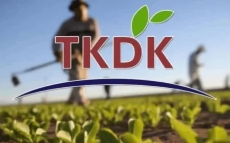 TKDK 2025’te 188 Milyon Avro Hibe Dağıtacak: Kırsal Yatırımlar İçin Büyük Fırsat