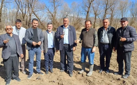 CHP’li Ömer Fethi Gürer: 'Lahana da üretici de dondu, çiftçi desteğe muhtaç'