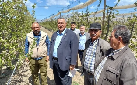 CHP'li Ömer Fethi Gürer: 'Niğde'de 500 bin ton elma kaybı yaşanacak'