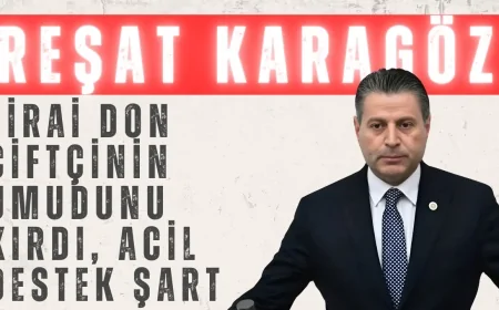CHP Amasya Milletvekili Reşat Karagöz: 'Zirai don çiftçinin umudunu kırdı, acil destek şart'