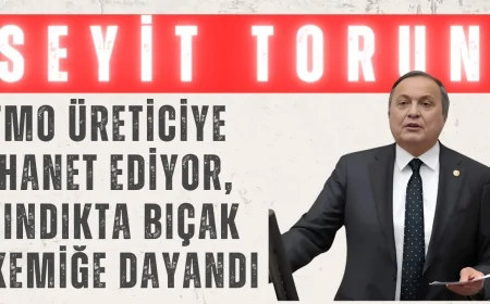 CHP’li Seyit Torun: ‘TMO üreticiye ihanet ediyor, fındıkta bıçak kemiğe dayandı’