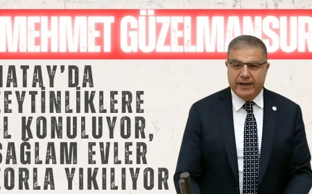 CHP’li Mehmet Güzelmansur: 'Hatay’da zeytinliklere el konuluyor, sağlam evler zorla yıkılıyor'