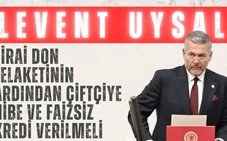 MHP Mersin Milletvekili Levent Uysal: 'Zirai don felaketinin ardından çiftçiye hibe ve faizsiz kredi verilmeli'