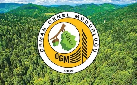 2025 Yazında Orman Yangınlarına Karşı Rekor Hazırlık: OGM’den 25 Bin Personelli Seferberlik