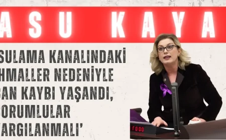 CHPli Asu Kaya: ‘Sulama Kanalındaki İhmaller Nedeniyle Can Kaybı Yaşandı, Sorumlular Yargılanmalı’