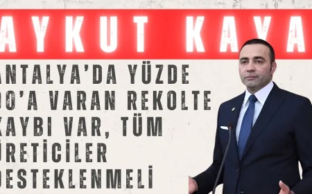 Aykut Kaya’dan Don Felaketi Çağrısı: 'Antalya’da Yüzde 90’a Varan Rekolte Kaybı Var, Tüm Üreticiler Desteklenmeli'