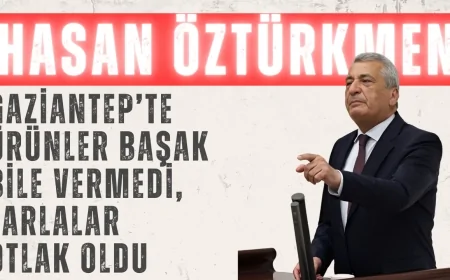 Hasan Öztürkmen’den Kuraklık Uyarısı: ‘Gaziantep’te Ürünler Başak Bile Vermedi, Tarlalar Otlak Oldu’