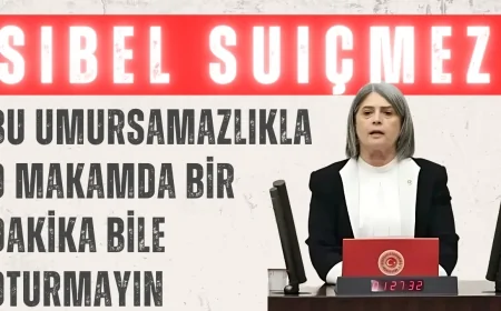 Sibel Suiçmez TBMM'de Şehit Mehmetçik İçin Konuştu: 'Bu Umursamazlıkla O Makamda Bir Dakika Bile Oturmayın'