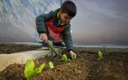 Toprakla oynayan çocuklar hem daha az hasta oluyor hem de strese karşı daha güçlü hale geliyor