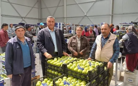 Elmada Don Felaketi Yurt Dışı Pazarı Tehdit Ediyor: CHP’li Gürer Uyardı