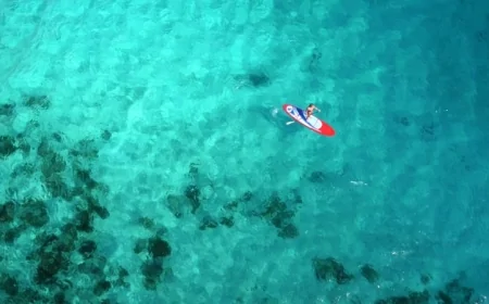 Deniz Suyu Neden Mavi Görünüyor: Gözle Görülen Rengin Bilimsel Nedeni Açıklandı