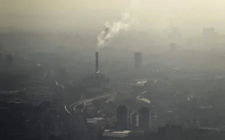 Hava Kirliliği Akciğer Kanseri Riskini Yüzde 50’ye Kadar Artırıyor