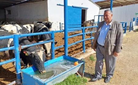 Ömer Fethi Gürer: 'Kurbanlık Fiyatları Emekli ve Asgari Ücretlinin Alım Gücünü Aştı'