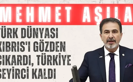 Mehmet Aşıla: 'Türk Dünyası Kıbrıs'ı Gözden Çıkardı, Türkiye Seyirci Kaldı'