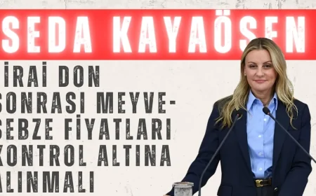 Seda Kaya Ösen: 'Zirai Don Sonrası Meyve-Sebze Fiyatları Kontrol Altına Alınmalı'
