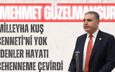 Mehmet Güzelmansur: 'Milleyha Kuş Cenneti'ni Yok Edenler Hayatı Cehenneme Çevirdi'