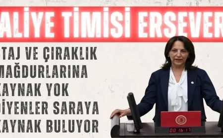 Aliye Timisi Ersever: 'Staj ve Çıraklık Mağdurlarına Kaynak Yok Diyenler Saraya Kaynak Buluyor'