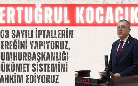Ertuğrul Kocacık: "703 Sayılı İptallerin Gereğini Yapıyoruz, Cumhurbaşkanlığı Hükûmet Sistemini Tahkim Ediyoruz"